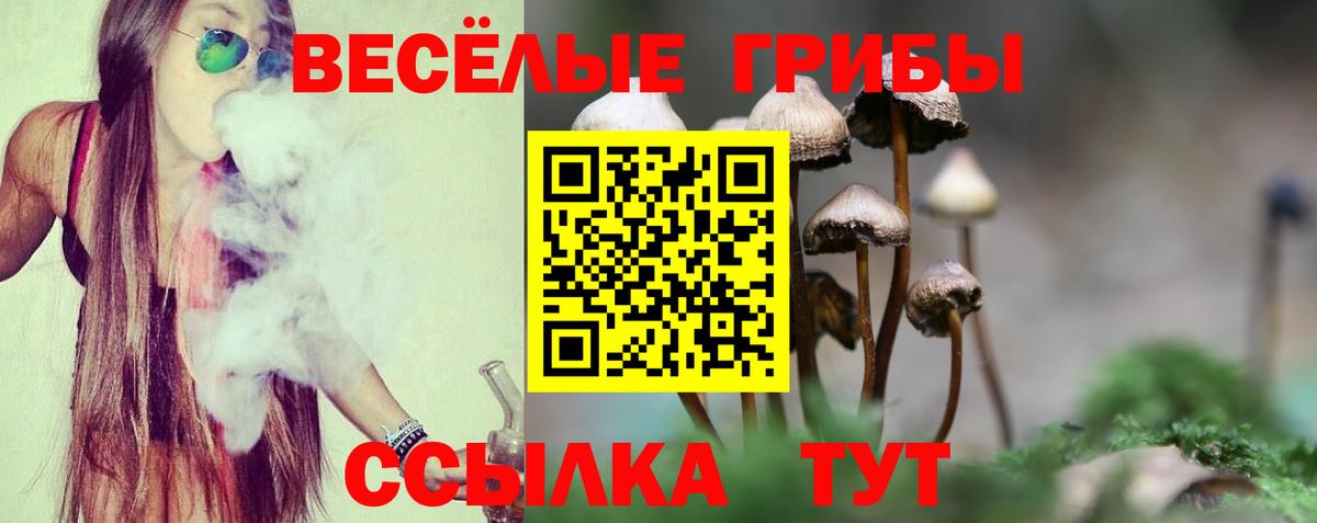 Псилоцибиновые грибы GOLDEN TEACHER  Псилоцибиновые грибы GOLDEN TEACHER  где можно купить   Вход с VPN  Кирово-Чепецк 